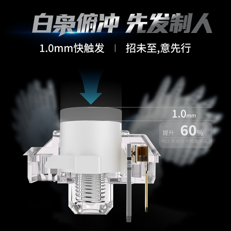 Kailh Choc White Owl Switch Mi - Gaming Accessories White ulasan dan harga